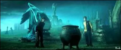 Que fait Peter dans son chaudron ?