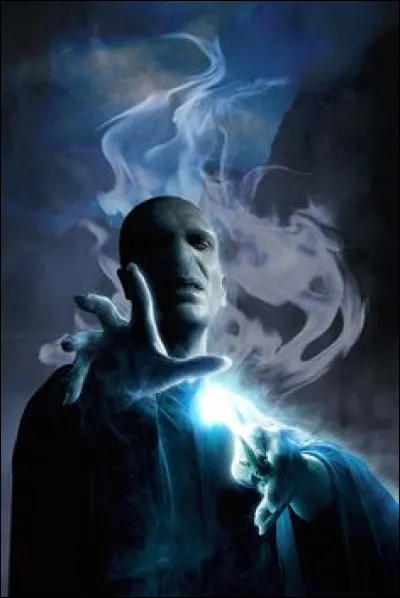 Quel sortilège Voldemort inflige-t-il à Harry Potter ?