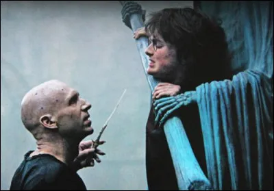 Dans cette scène au lieu de tuer Harry que fait Voldemort ?