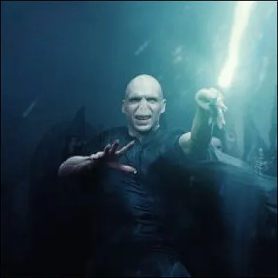 Quels sont les fantômes qui se trouvent avec Harry pendant le combat ?