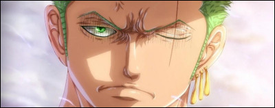 Dans quel épisode de l'anime Zoro perd-il son il ?