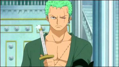 Quel est l'âge de Zoro au début de l'anime/du manga ?