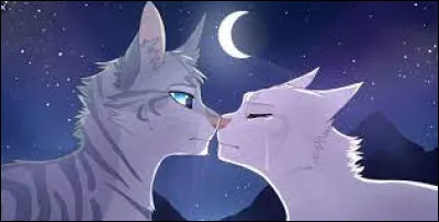 Qui sont ces chats ?