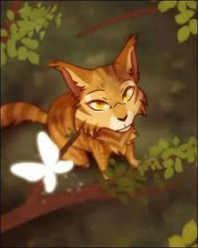 Qui est cette chatte ?