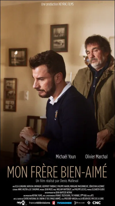 À quel chanteur doit-on le titre "Mon frère" ?