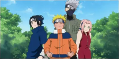 Qui sont ces personnages ? (Plusieurs réponses attendues)