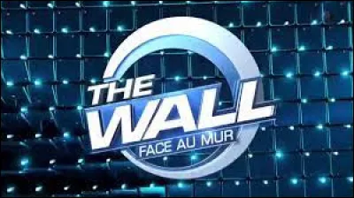 Qui a animé le jeu télévisé "The Wall : Face au mur" entre 2017 et 2018 ?