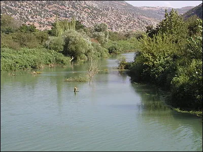 Quel est ce fleuve du Proche-Orient, long de 570 km, le seul de la région à couler vers le nord, qui prend sa source au centre du Liban, traverse la Syrie occidentale, arrose Homs et Hama et se jette dans la Méditerranée, dans la région du Hatay, au sud-est de la Turquie ?