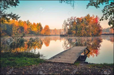 Si tu as choisi "Image d'un paysage" tu préfères :