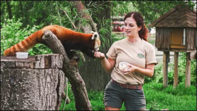 Comment appelle-t-on généralement les vétérinaires et assistants vétérinaires travaillant dans un zoo ?