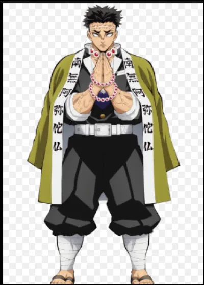 Quelles armes possède Himejima ?