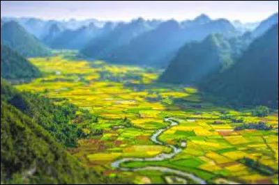 Qui voit-on à l'écran dans le film "African Queen" ?