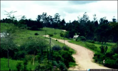 À qui doit-on le roman autobiographique "La Ferme africaine", qui a inspiré le long-métrage "Out of Africa" ?