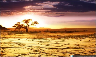 À qui doit-on la chanson "Africa" ?