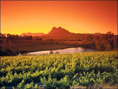 Quel acteur est aux côtés de Catherine Deneuve dans le film "L'Africain" ?