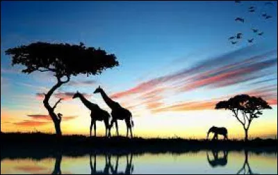 Quel pays d'Afrique a un bouclier massaï sur son drapeau national ?