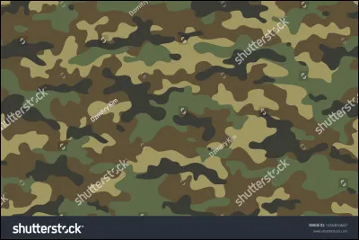 Peux-tu te camoufler ?