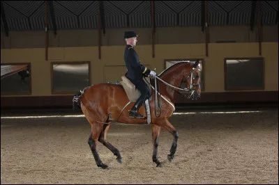 Pour Susan Hill, en 2012, comment est la dame ?