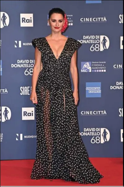 Qui est cette Penélope, mannequin et actrice espagnole ?