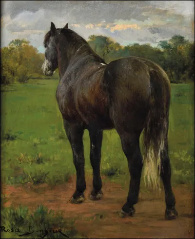 Quelle femme peintre des années 1800, spécialisée dans les toiles naturalistes et animalières, anti-conformiste, fumait le cigare et galéra pour obtenir le droit de porter le pantalon ?