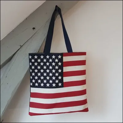 Dans la chanson de C. Jérôme "♪ ♫ Kiss me", il y avait un drapeau américain sur son sac déchiré, et quelle sorte de pantalon qui ne valait plus rien ?