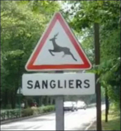 Appareil servant à calculer la quantité d'eau absorbée par une plante !