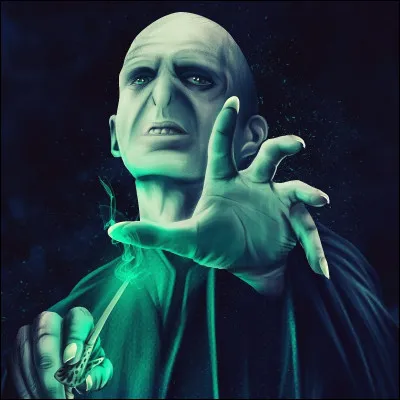 Je suis la première lettre d'un objet qui est essentiel au sorcier. Voldemort en vole une en ouvrant une tombe. Quelle lettre suis-je ?