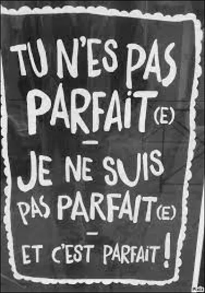 Quel est ton plus grand défaut ? (2)