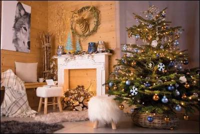 À ... on a souvent un sapin dans notre salon.