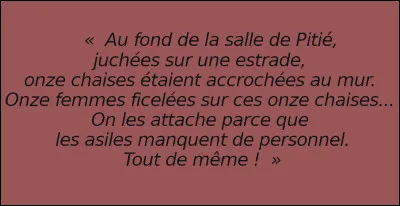 Hormis de nombreux autres écrits sur les exclus et opprimés de toutes natures et horizons (Balkans, Congo belge, colonies françaises d'Afrique, etc.), il est un des plus célèbres commentateurs ...[...de quoi, au juste ?]