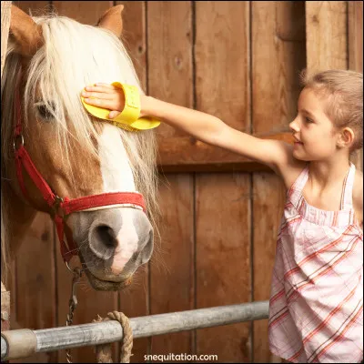 Que préfères-tu faire en équitation ?
