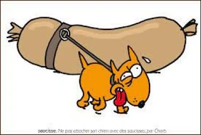 Il manque deux mots dans cette expression "il n'attache pas son chien avec" :