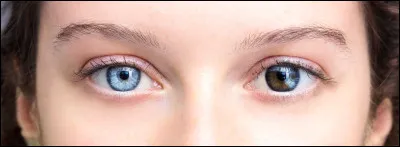 De quelle couleur sont tes yeux (1/2) ?