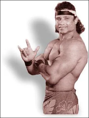 Summerslam 1989 : Comment se termine le combat Jimmy Snuka Vs. Ted DiBiase ?