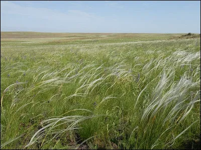 Degré sportif, c'est le...