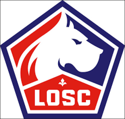 Je suis capitaine du Losc Lille, j'ai disputé 637 matchs dans ma carrière et j'ai marqué 31 buts. Qui suis-je ?