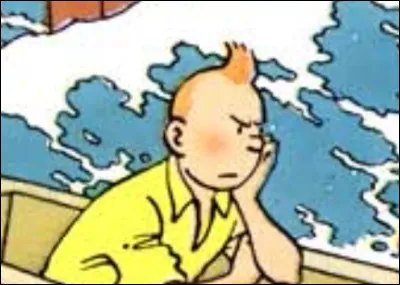 C'est assez rare pour le noter : Tintin boude ! Dans quoi s'est-il embarqué, aussi ?