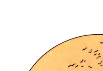 Coucher de soleil avec vol de corbeaux... Ça vous dit ?