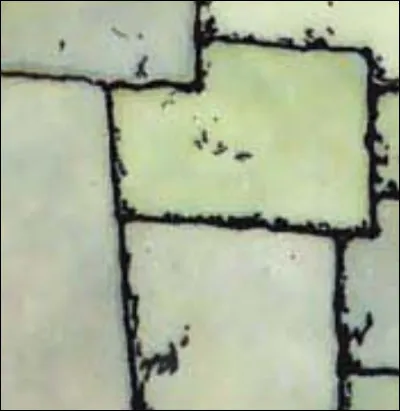 Passons aux choses plus sérieuses... Il y a forcément parmi vous des spécialistes en architecture ancienne ! Alors ?