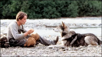 Chien-loup fier et puissant qui découvre, après de nombreuses péripéties, l'amour et l'amitié possibles entre un chien et un homme. Quel est son nom ?