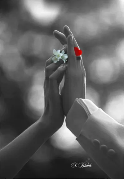 Quel célèbre chanteur avait l'honneur de ne pas lui demander sa main ?