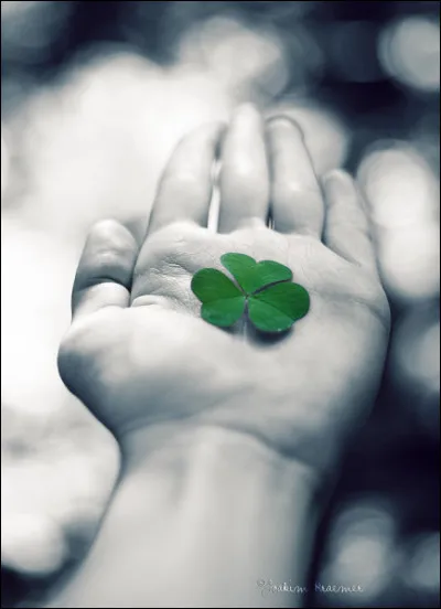 Jusqu'ici si vous avez eu de bonnes réponses cochées au hasard, que dire ?