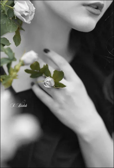 Il chantait "Le désert commence où finit ta main", dans sa chanson "L'Autre côté de toi" :