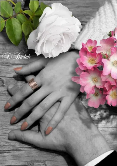 Dans quelle chanson de Francis Cabrel rencontre-t-on un musicien qui fait jouer ses mains sur un morceau de bois" ?