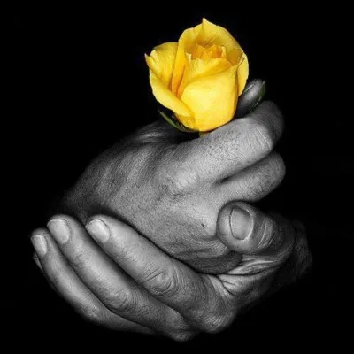 Comment étaient les mains dans l'uvre de Jean-Paul Sartre ?