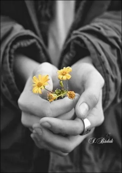 Qui a écrit le roman policier "La Main", dans lequel c'est un psychopathe qui en écrit le récit évoquant les souvenirs des 4 mois précédant le meurtre de sa femme. Pour une fois ce n'est pas son célèbre Jules qui résoudra l'enquête !