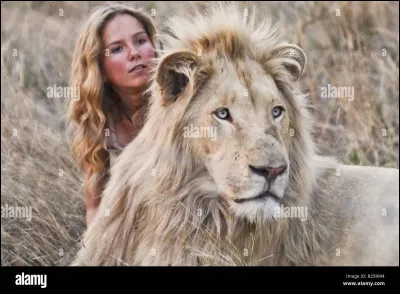 Quel écrivain est l'auteur du roman "Le Lion" ?