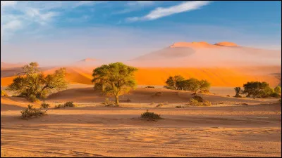 Quel pays africain a pu accéder à l'indépendance après un accord intervenu entre l'Angola, l'Afrique du Sud et Cuba ?