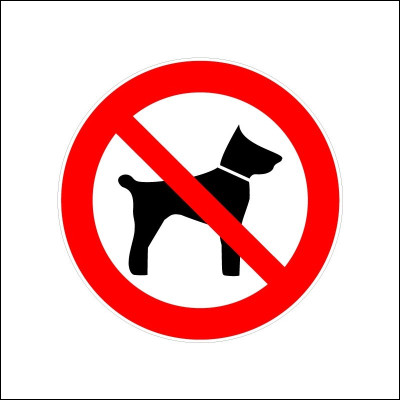 Si tu as choisi un humain, tu préfères que ce soit...