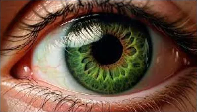 Quel sens as-tu le plus développé ?